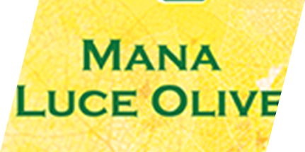 ヘアサロン マナ・ルーチェ オリーブ